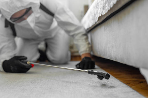 Professional Cockroach Control technician working in Harrison, NY